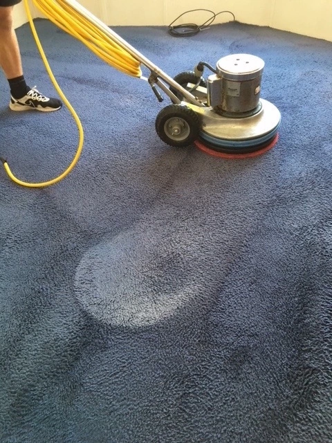 amazing carpet cleaning results photo5