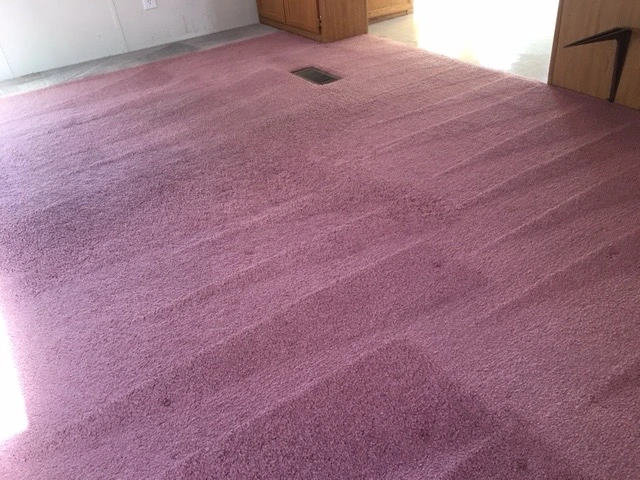 carpet cleaning results 48