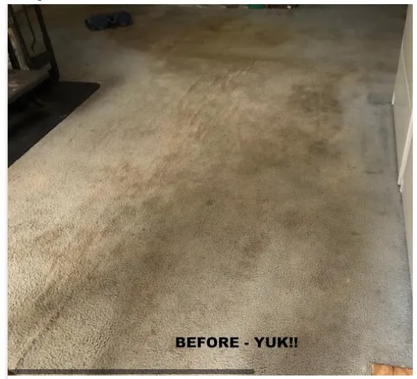 amazing carpet cleaning results photo22