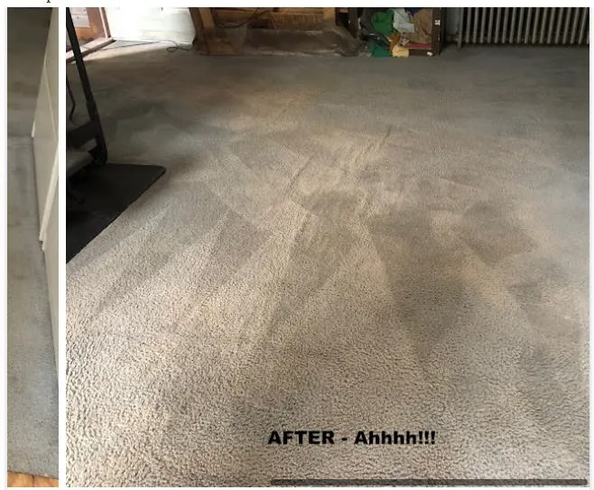 amazing carpet cleaning results photo23