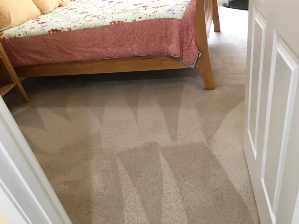 amazing carpet cleaning results photo20