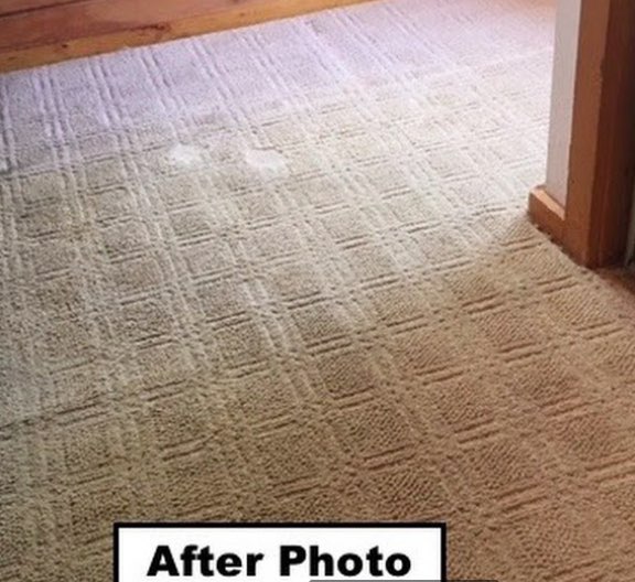 carpet-sample-lincoln-nh-5