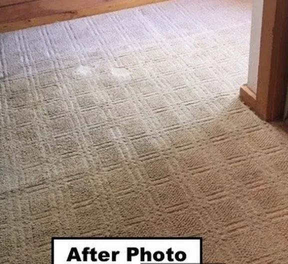 amazing carpet cleaning results photo57