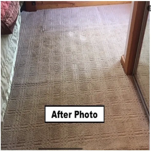 amazing carpet cleaning results photo56