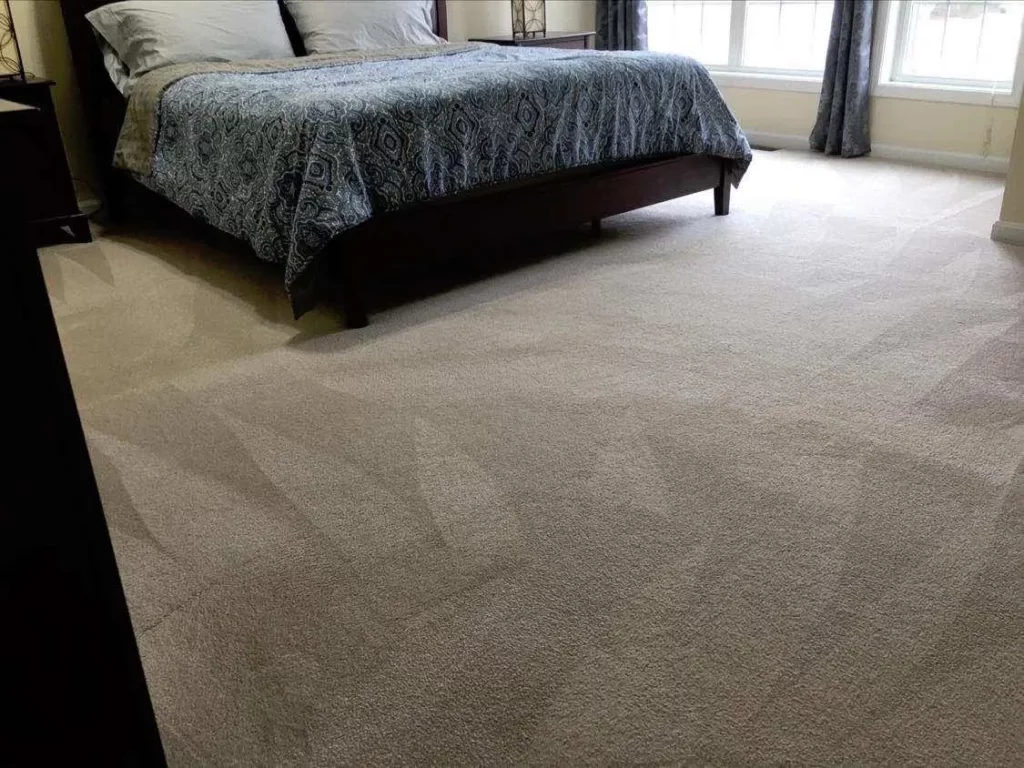 amazing carpet cleaning results photo35