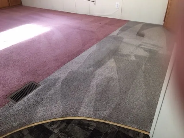 amazing carpet cleaning results photo39