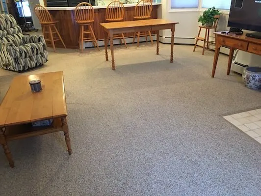amazing carpet cleaning results photo38