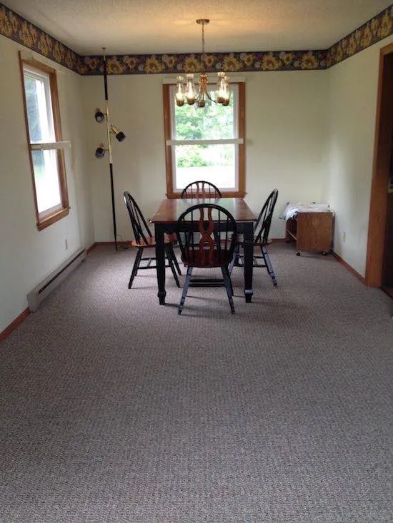 amazing carpet cleaning results photo40