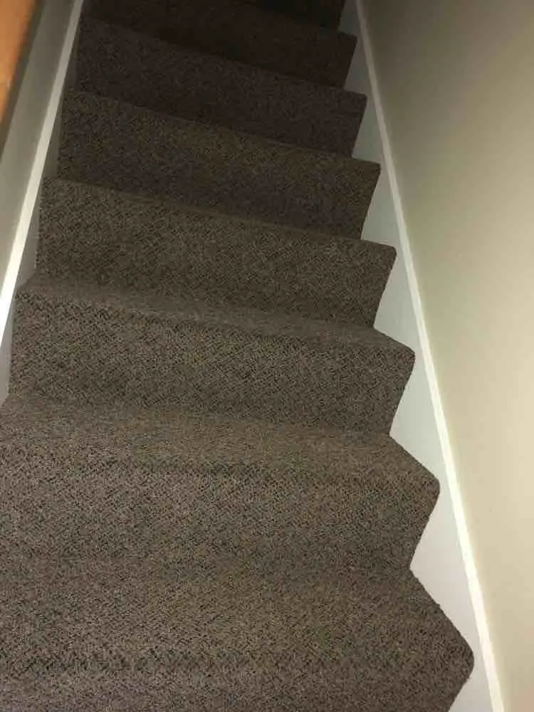 amazing carpet cleaning results photo26
