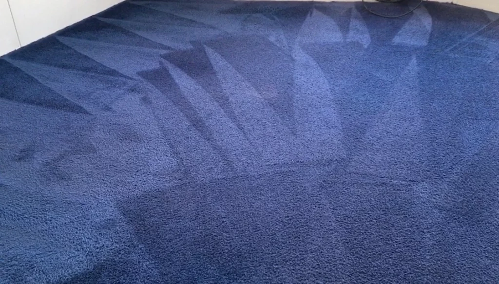 amazing carpet cleaning results photo2